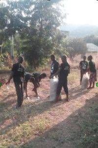 Recycling von Plastikmüll